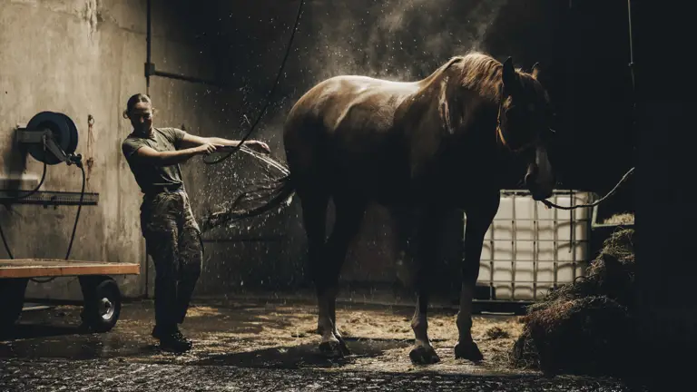 Female soldier washing down her horse and getting splashed back with water.
