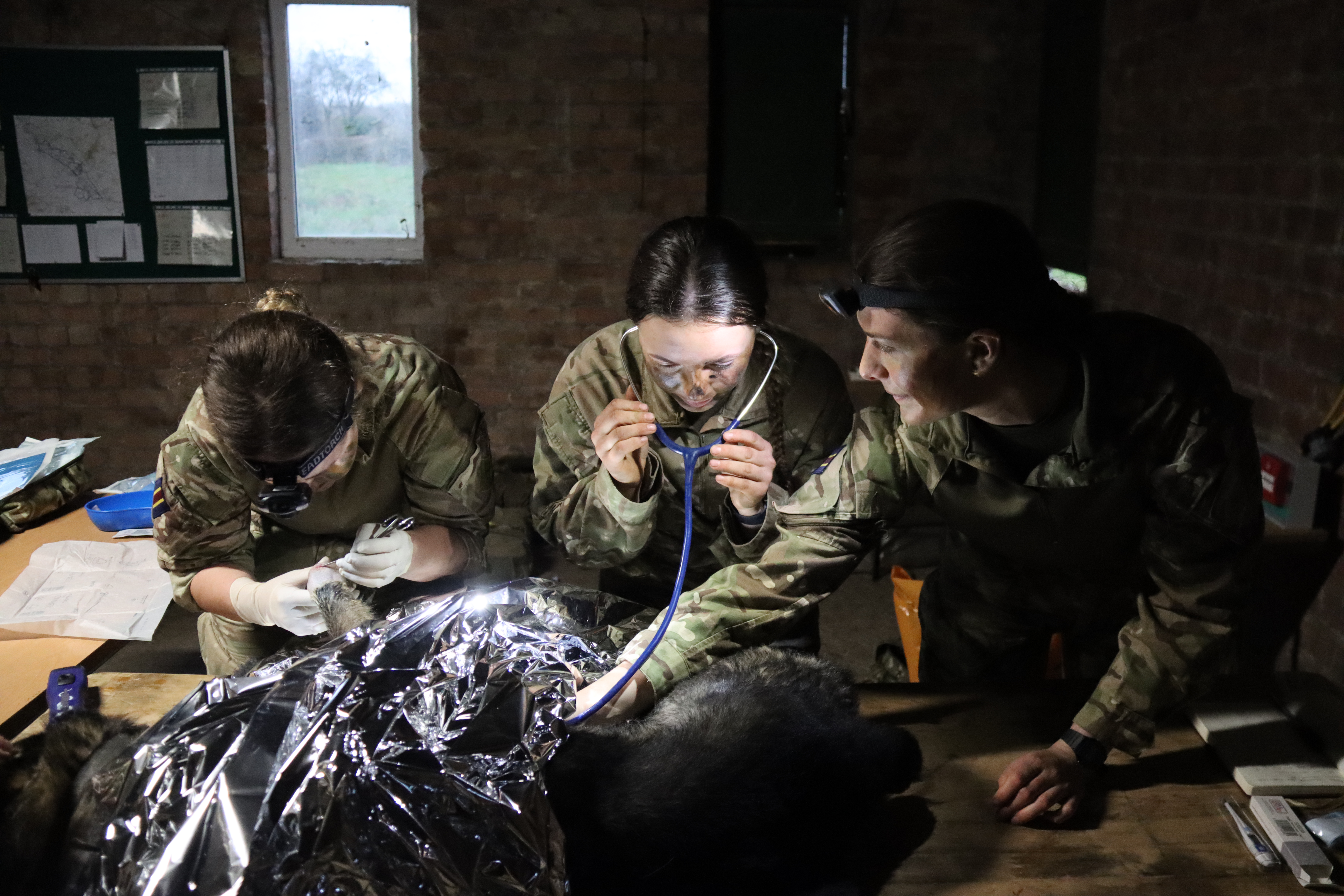 A veterinary nurse is taking the breathing rate of a MWD, while the veterinary officer is conducting a minor treatment of an injury