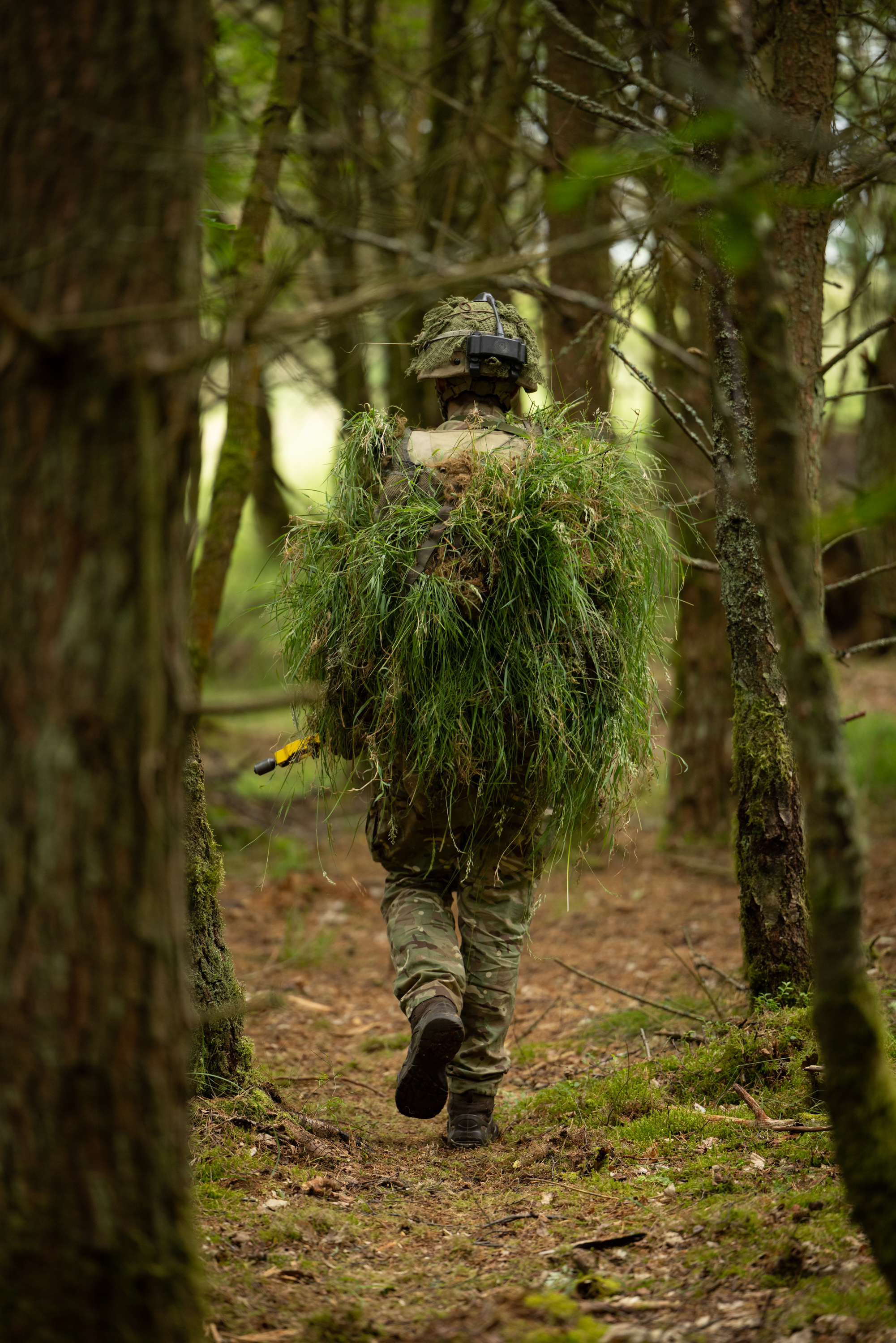 A person wearing camouflage and a helmet walks through a forest, carrying a large bundle of green foliage on their back.