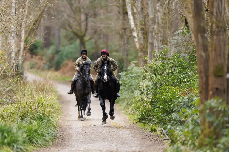 Two people are riding horses side by side along a wooded path. The surrounding area is lush with greenery and tall trees.