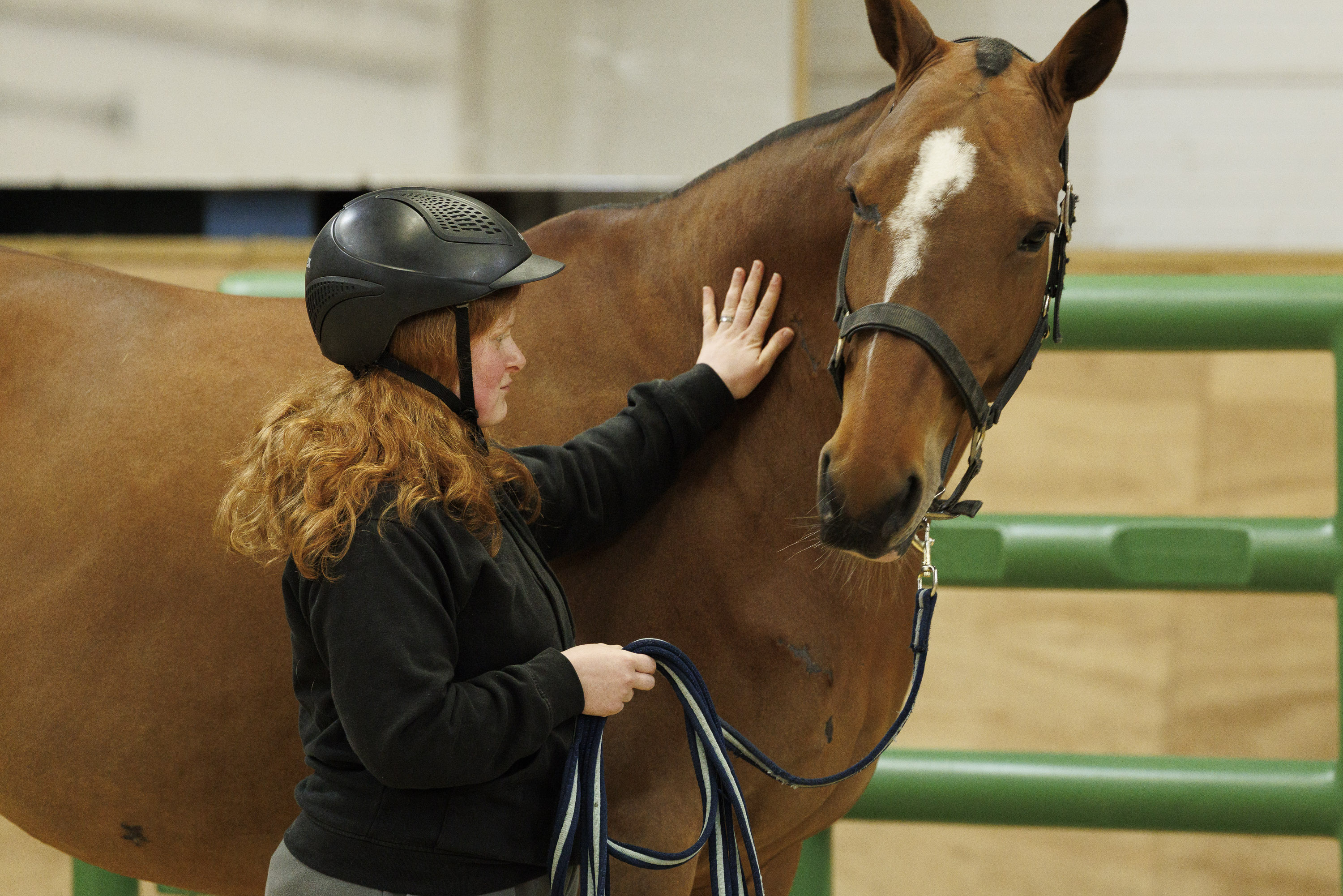 A person wearing a helmet gently rests a hand on a brown horse, standing next to it while holding the reins.