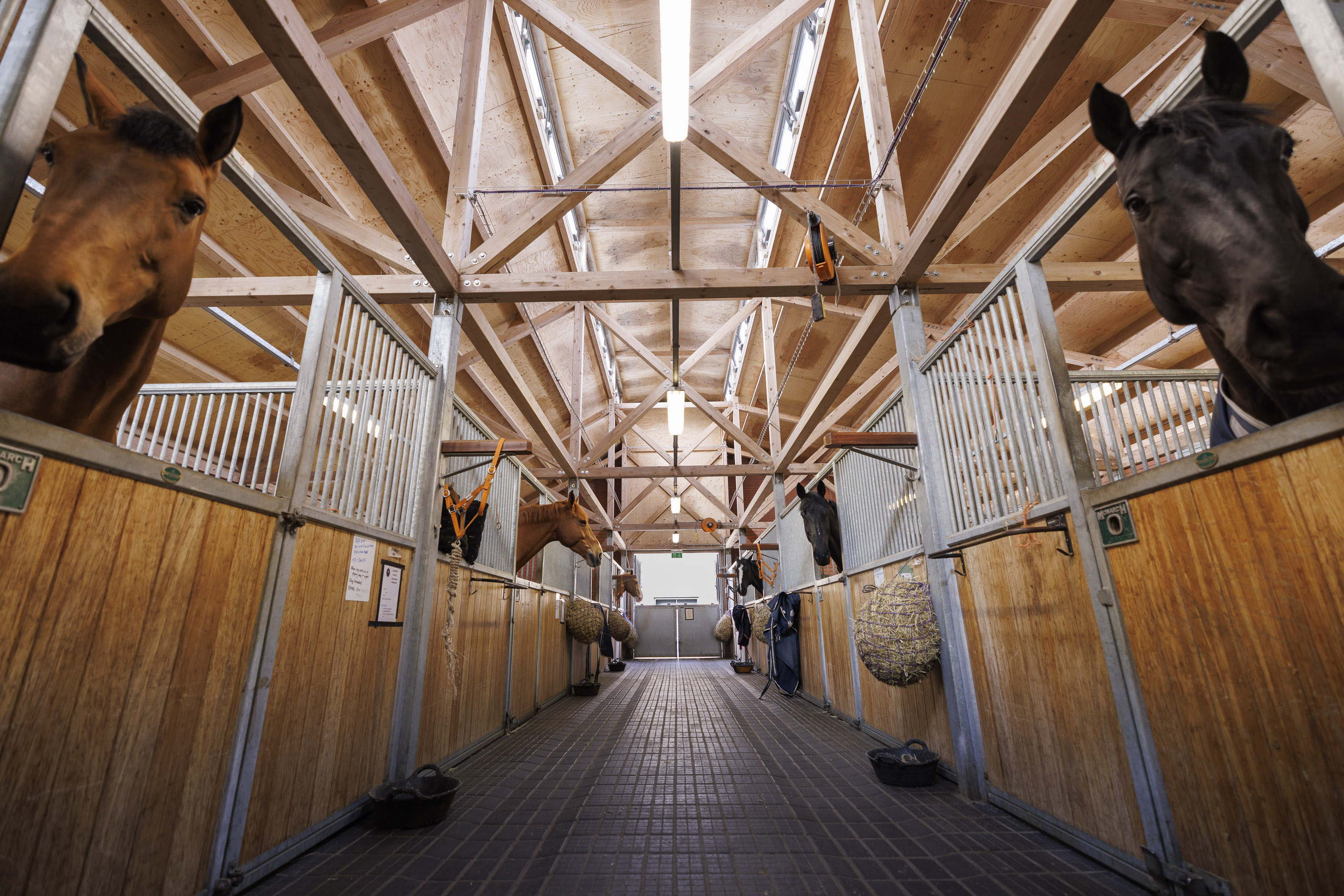 A horse stable corridor with wooden beams and stalls on both sides.