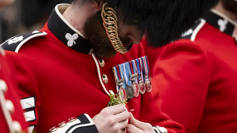 A man wearing a red tunic and a bearskin hat places a shamrock on his chest, next to a row of medals.