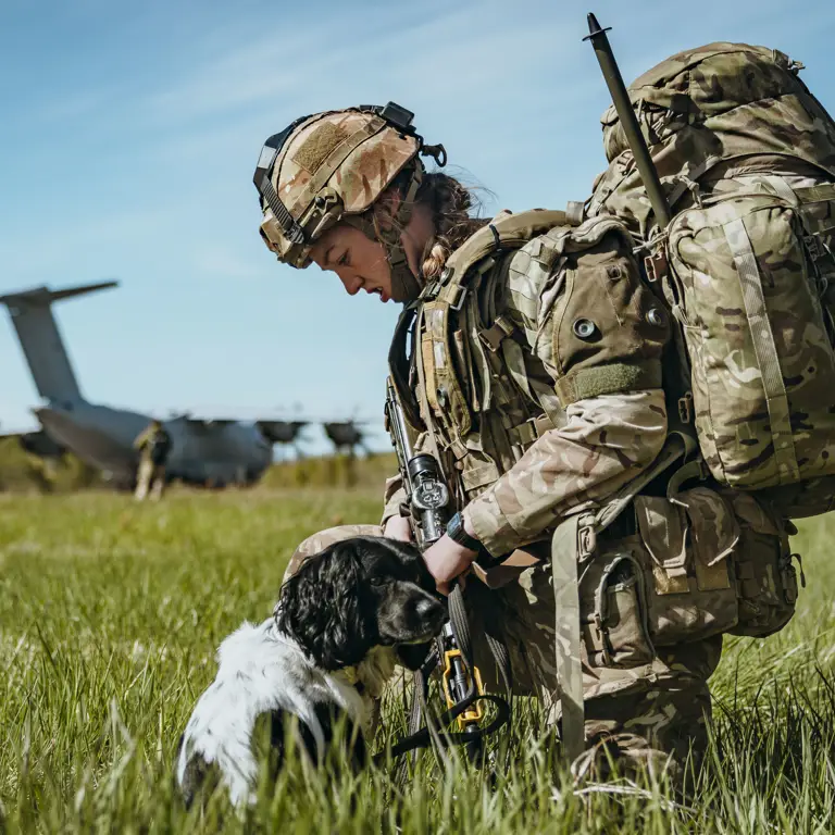 A military working dog handler putting the lead on a MWD at a airfield with a transport aircraft in the background.
