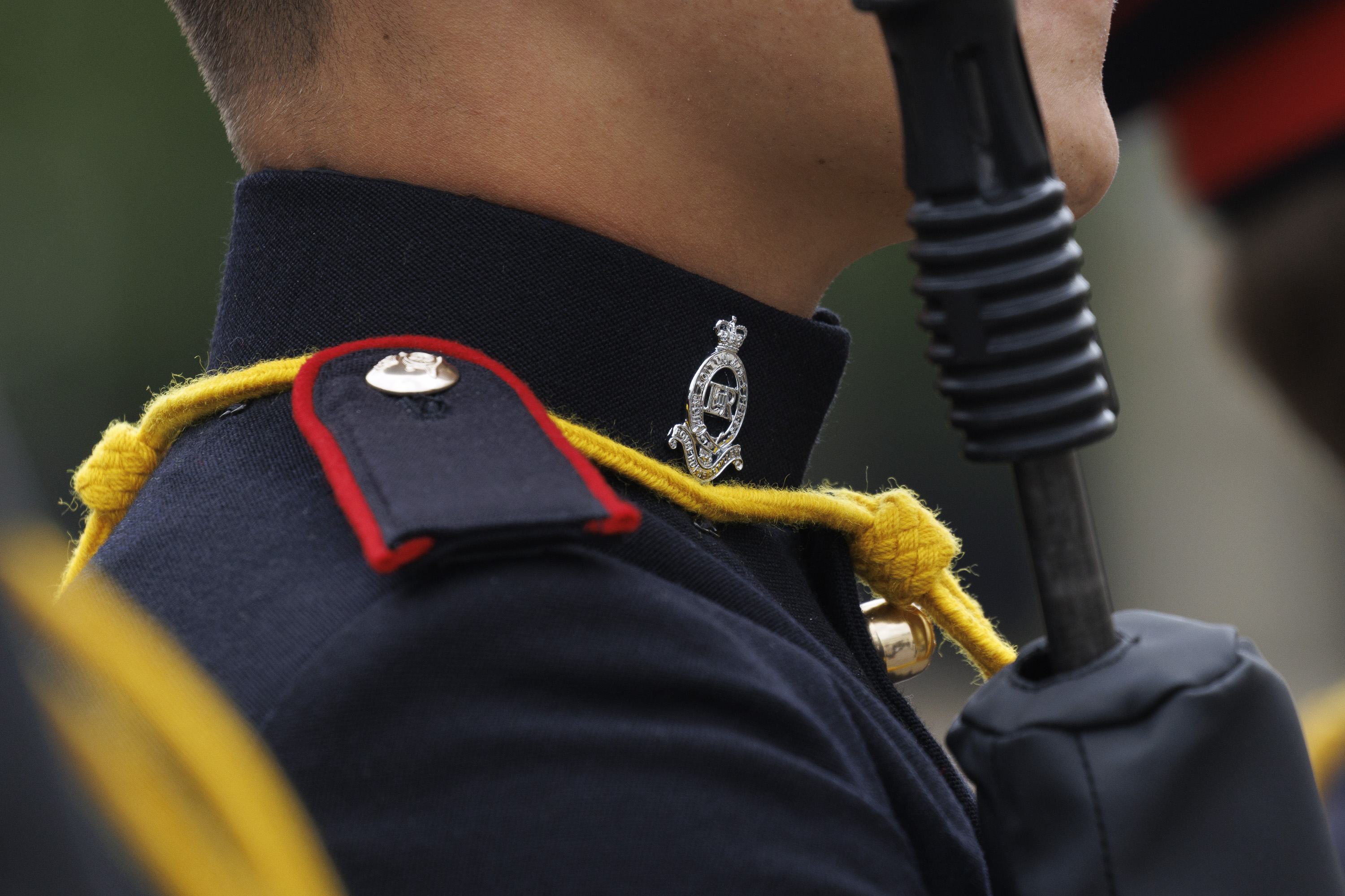 A close-up of a person in a formal uniform features a badge with intricate design details on the collar. 