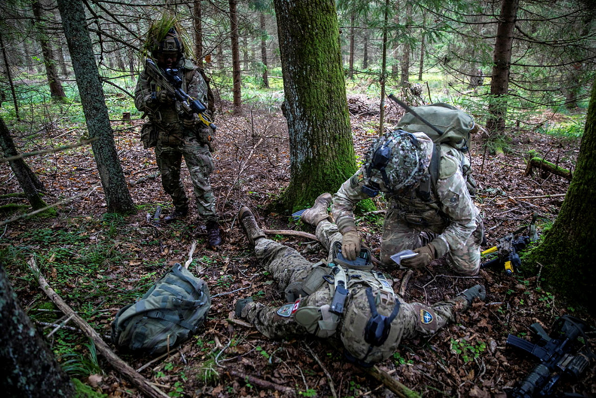 Seven soldiers including British playing a casualty attack on Exercise Tarassis in the woodlands. They are all wearing camouflage uniform, helmet, body armour and carry their rifles. One solider is laying on the ground, while another searches him and the last stands ready watching.