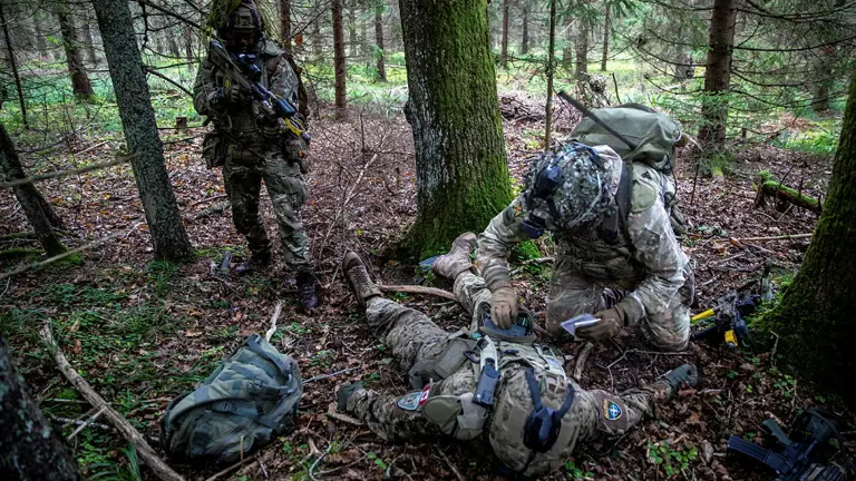 Seven soldiers including British playing a casualty attack on Exercise Tarassis in the woodlands. They are all wearing camouflage uniform, helmet, body armour and carry their rifles. One solider is laying on the ground, while another searches him and the last stands ready watching.