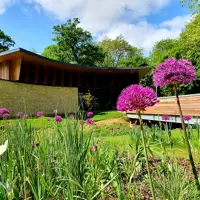 A museum is pictured from the exterior, purple flowers are present in the foreground.