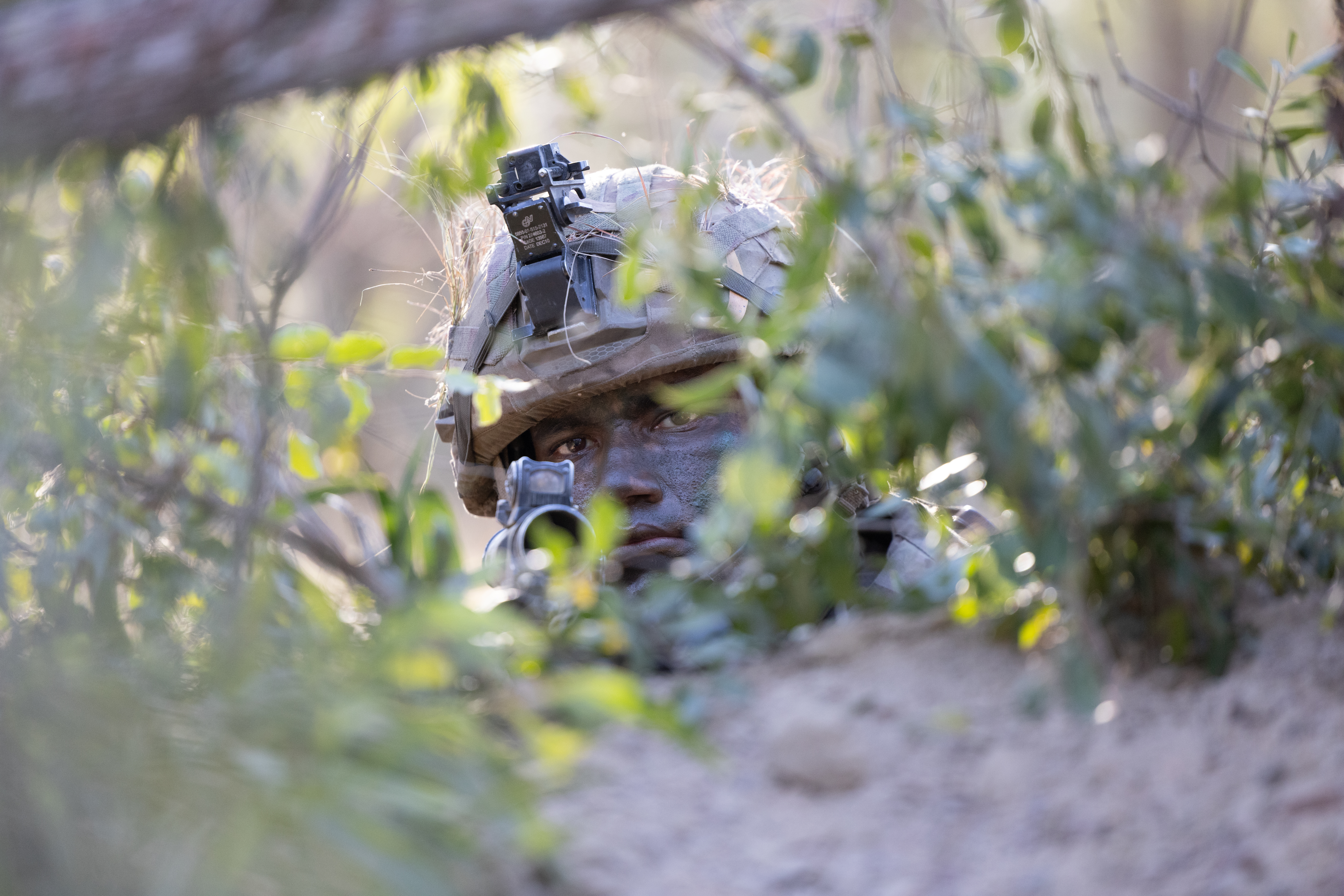 The image shows a soldier partially obscured by foliage. The individual is wearing camouflage gear and a helmet.