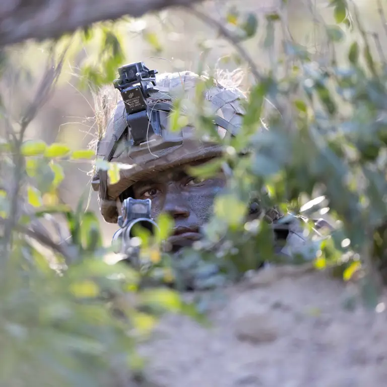 The image shows a soldier partially obscured by foliage. The individual is wearing camouflage gear and a helmet.
