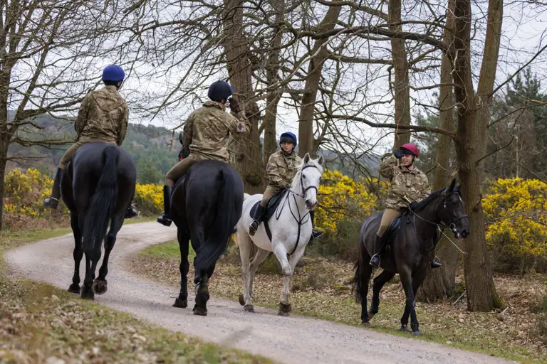 A group of people in camouflage uniforms are riding horses along a forest path. The horses vary in colour.
