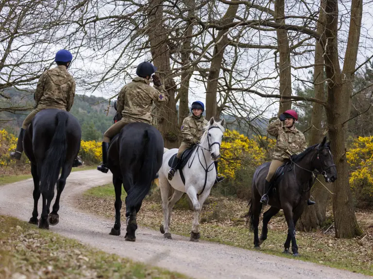 A group of people in camouflage uniforms are riding horses along a forest path. The horses vary in colour.