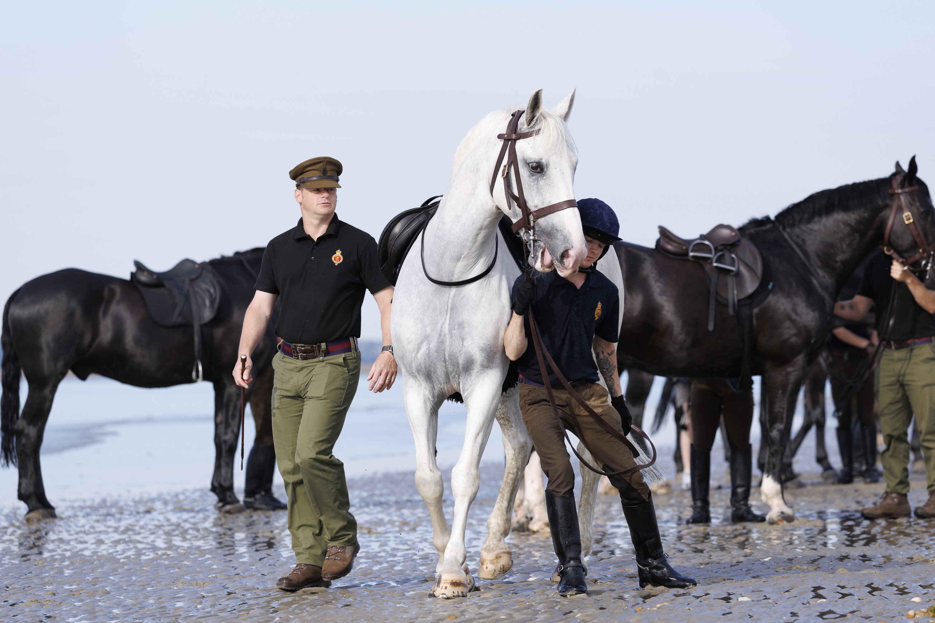 A group of people walk alongside horses on a sandy beach. One person leads a white horse, while others manage dark brown horses. They wear uniforms, and the sea is visible in the background.