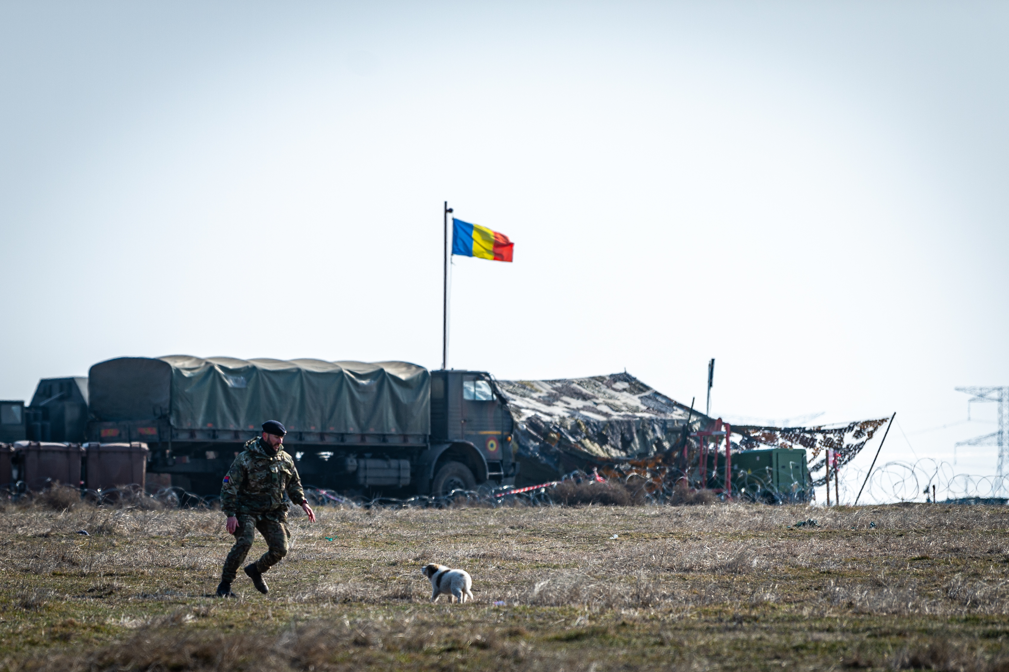 A soldier in uniform approaches a puppy in an open field, a vehicle with a Romanian flag is seen in the background. 