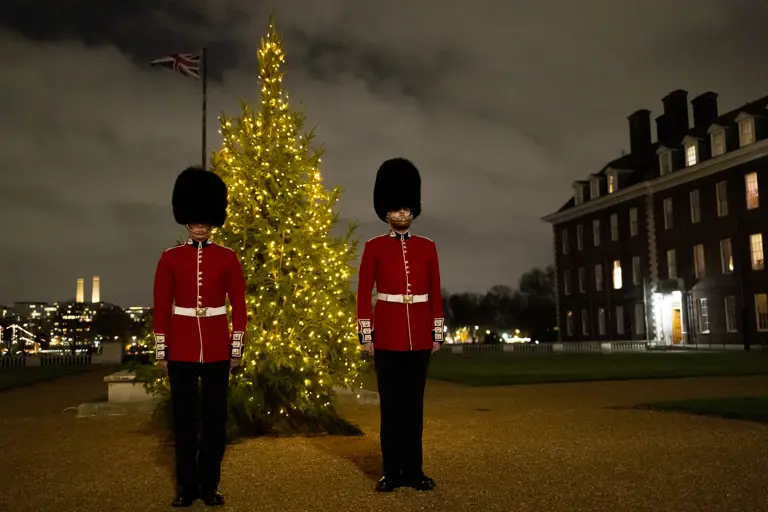 Two British guards in red uniforms and bearskin hats stand at attention beside a lit Christmas tree at night.