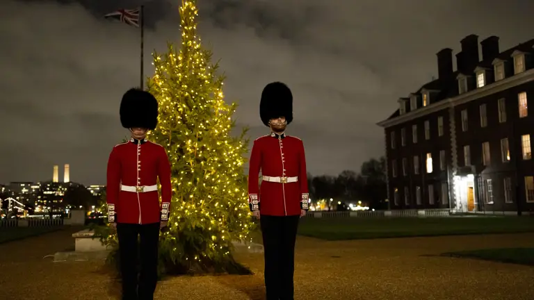 Two British guards in red uniforms and bearskin hats stand at attention beside a lit Christmas tree at night.